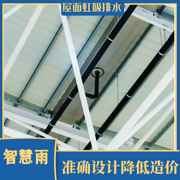 厂房虹吸式排水 智慧雨