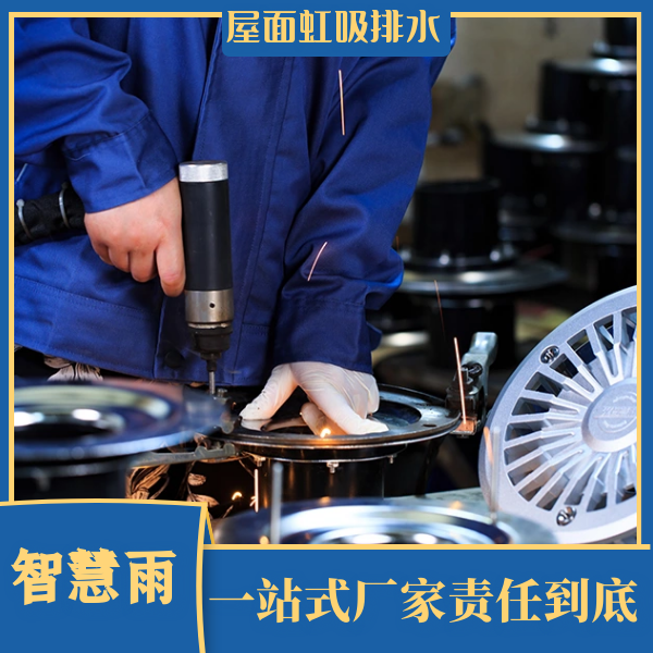 pe虹吸雨水排水 智慧雨